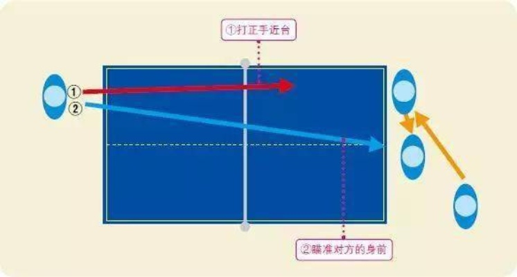 乒乓球碰到球网怎么办？（职业球员的必备方法）-第3张图片-www.211178.com_果博福布斯